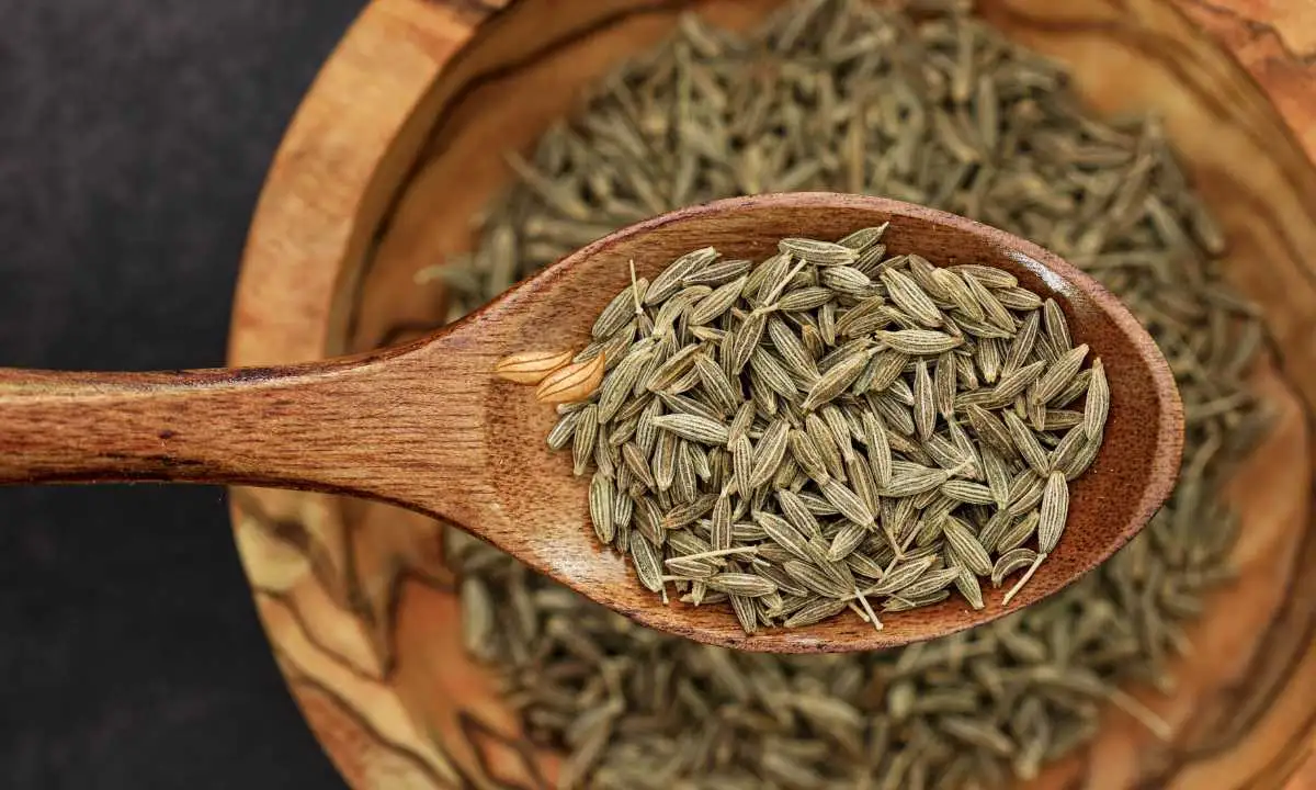 Comino Blanco beneficios